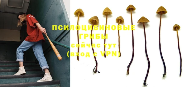 круглые Александровское