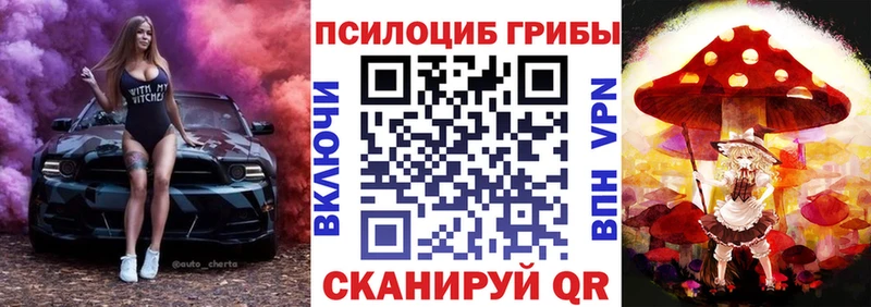 Псилоцибиновые грибы Psilocybine cubensis Надым