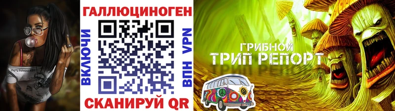 Купить Надым Псилоцибиновые грибы Cubensis